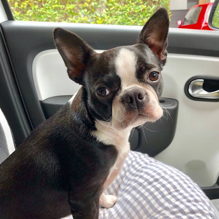 557d5f0b 4e5a 4b62 bd88 bbd477f64f23 1531802357090