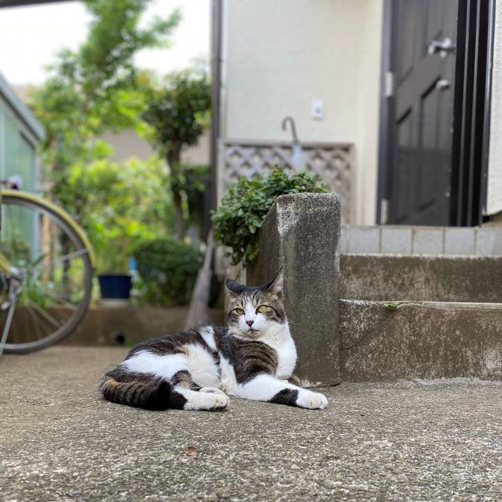 557d7916 ebc1 435b bf8d 6d8ecf478e60 1620534821929