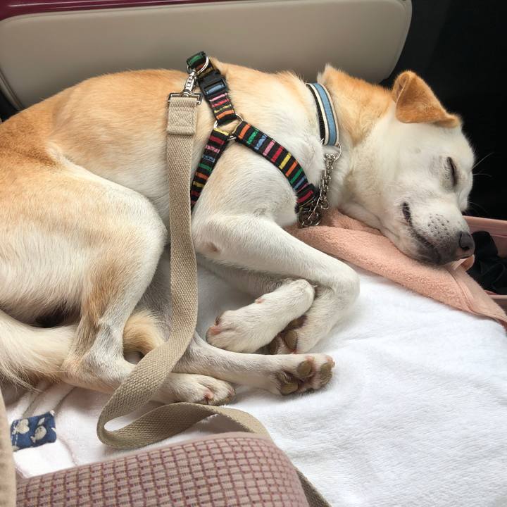 557d794b e370 4846 a2ed c74cad9b6d7d 1630625484790