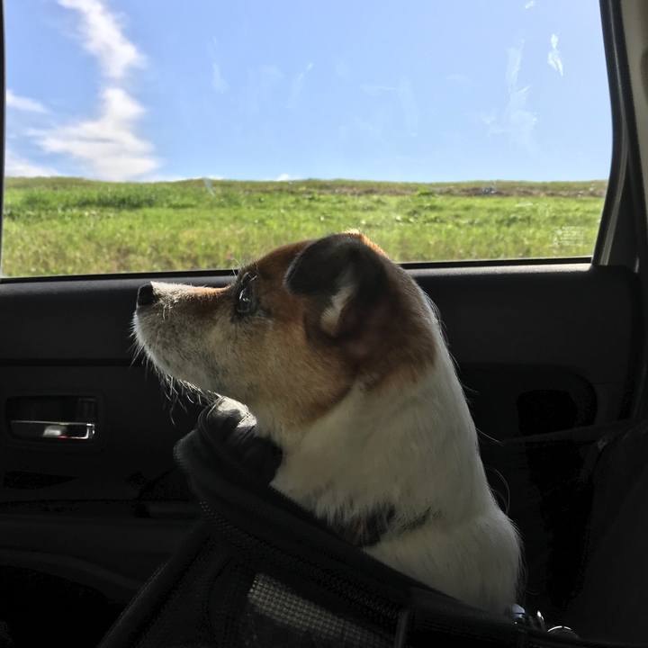 557d9db4 8791 4223 b938 a634d07cac38 1572063853535