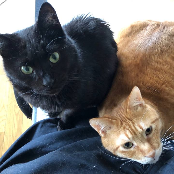 557d9e69 3805 4238 af6e f35dc743aca0 1592732152737