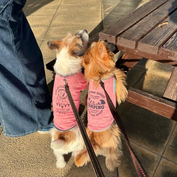 557dee1f a535 4c63 98e9 e33911a033f8 1727098435786