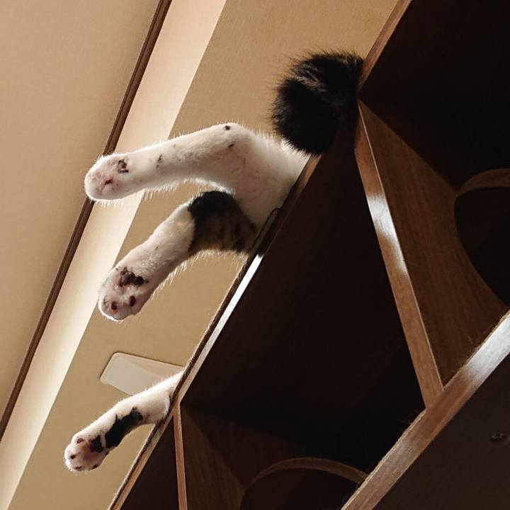 557df9bf 4708 44c2 8e81 0dcbfa5cb5fa 1564489098121