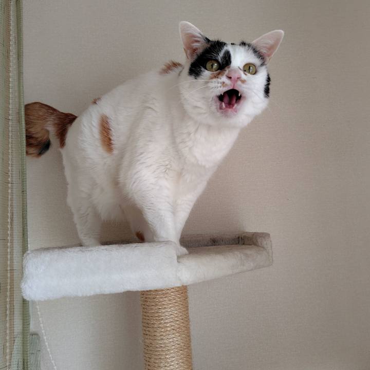 557e1a37 a5f8 484b 8d40 3ee6495b9508 1727257472065