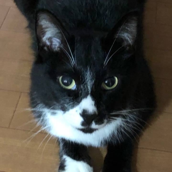 557e3049 85c4 4cce 9e7f 48641f589b37 1594438544089