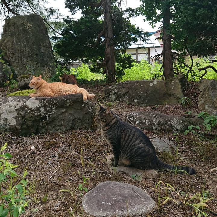 557e3fe2 5a22 4c9b ae7b 466bd631e4ee 1662117746590