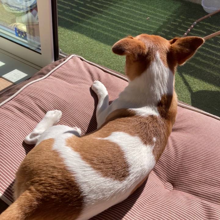 557e9472 3950 4d77 8c7a 69c26ca07373 1635477676233