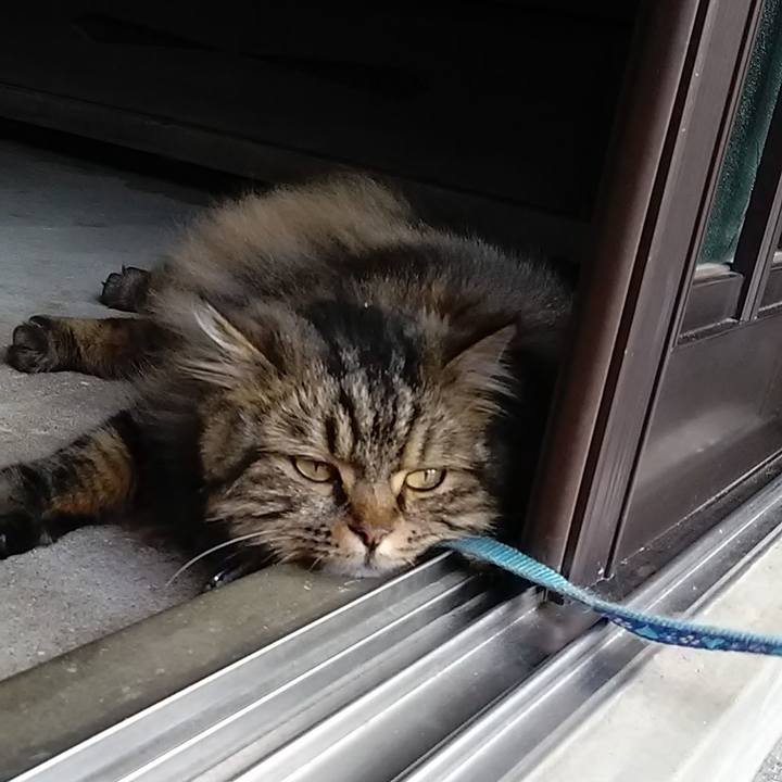 557eac3b fb25 42cb 8000 203c4f325821 1623454438178