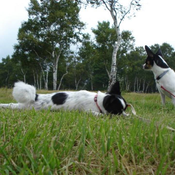 557eb1e0 3d32 4564 8bd7 40e30672af18 1765620831438