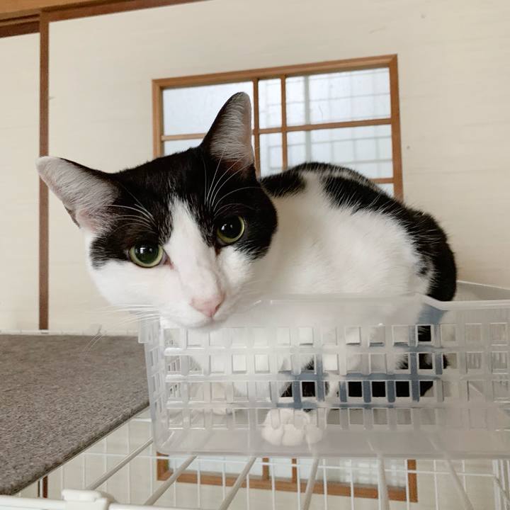 557ed1b6 30e1 4d75 ae1f dfa7602ac6e1 1540001891944