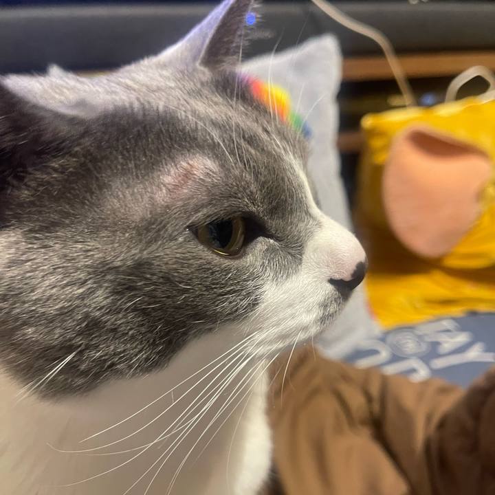 557f44e6 926a 4776 a985 b07f73b64f81 1743507951318