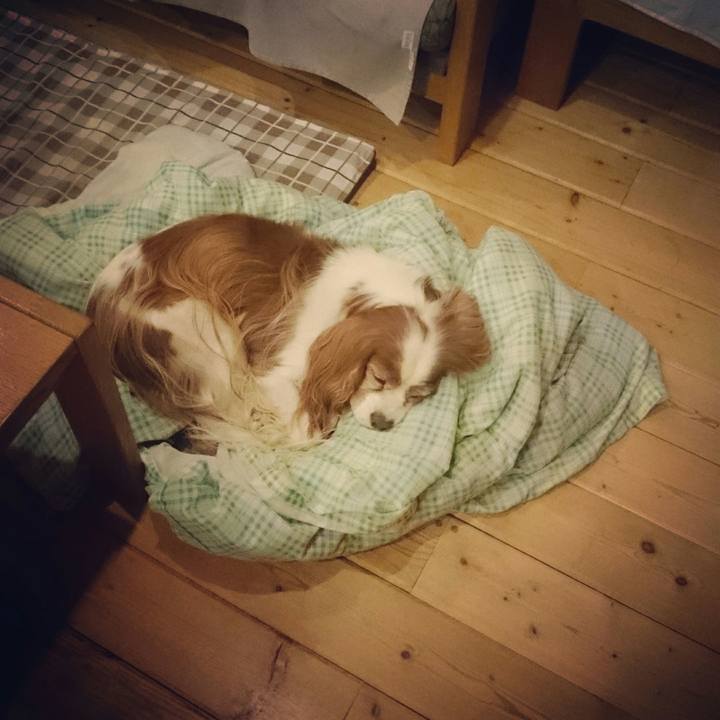 557f8a47 147c 47f9 a465 b3c117b9f0ca 1515678922377