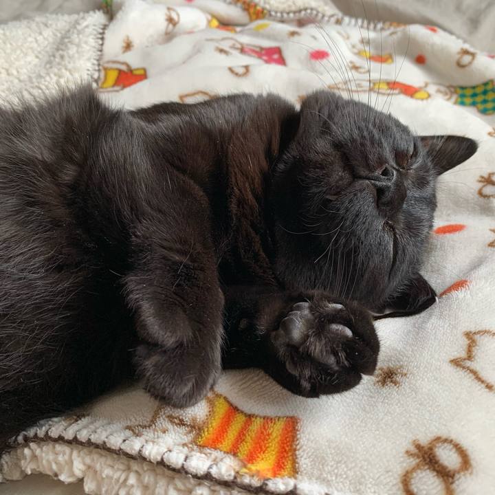 557f8fac ca98 4d11 910d ef3fbd78b87c 1582082200764