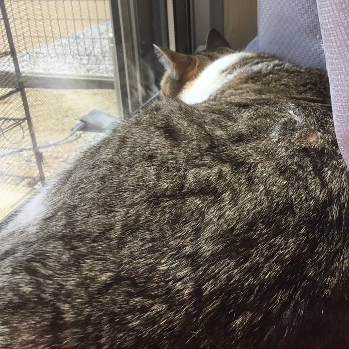 557f99a4 0d2c 4c9d 8a07 62ad62f106b8 1765839560956