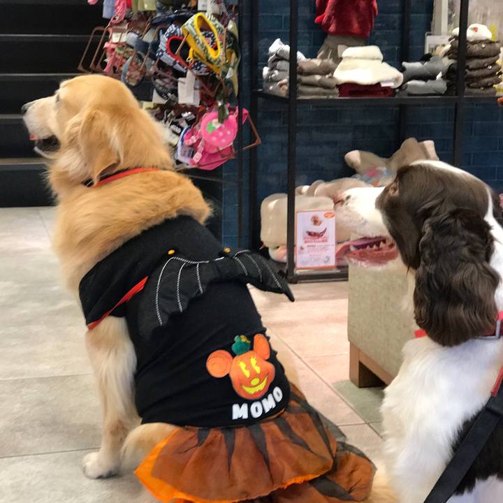 557ffe36 e16a 405c b44d c589d50f911d 1509443187127