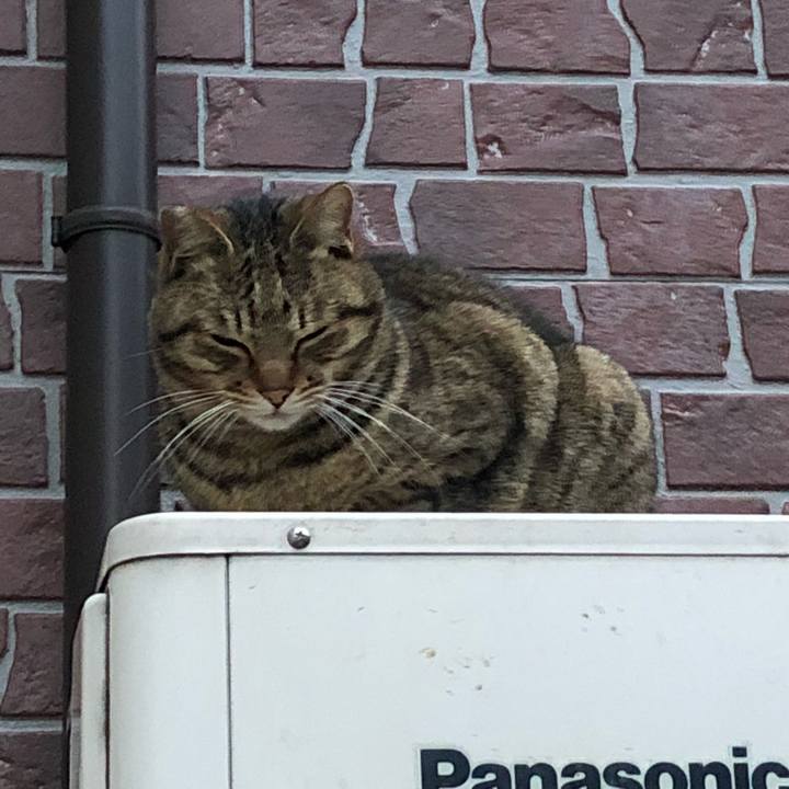 5580130a 8457 46c0 a7db 9894d5201591 1517568142519