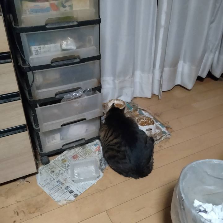 558076c1 f4ed 456e b989 da74d25664f7 1766792764341