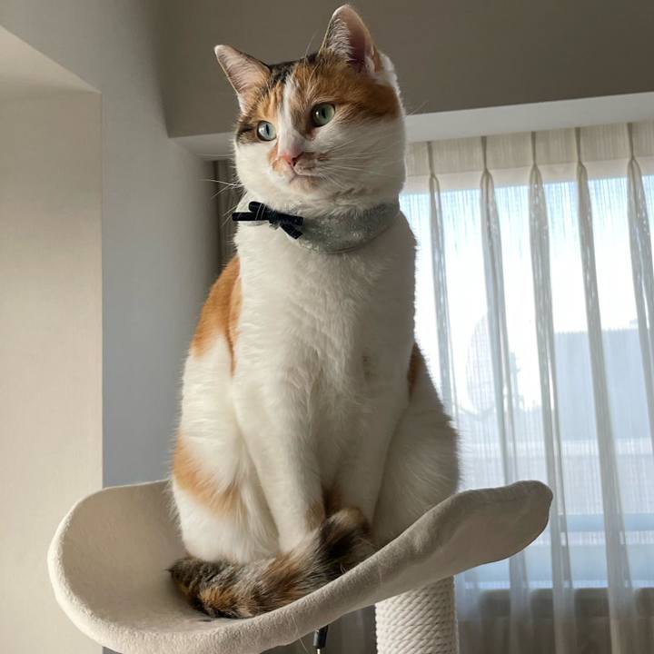 5580e013 4f42 4969 b46b 5bb11c24e8df 1674603049654