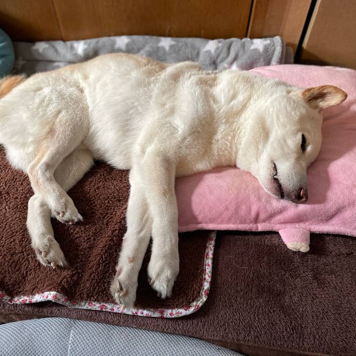 55810ca7 a370 4b58 9bd1 ed13bbed5f44 1646565107701