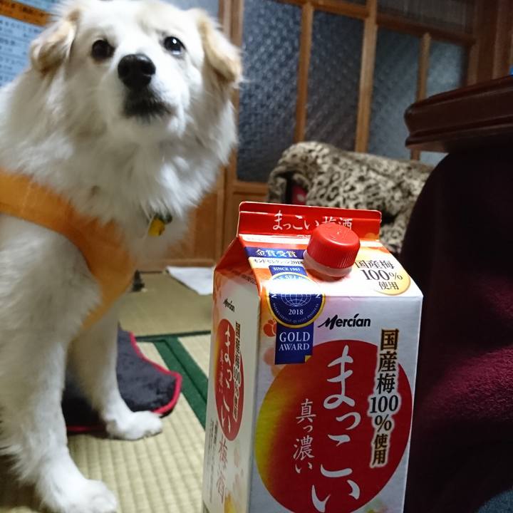 55812585 786e 4415 9eb1 da9a06294ff6 1549791674027