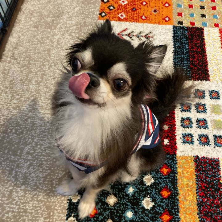 55813dff 2bad 4041 b229 b26f45f977b9 1718467800575