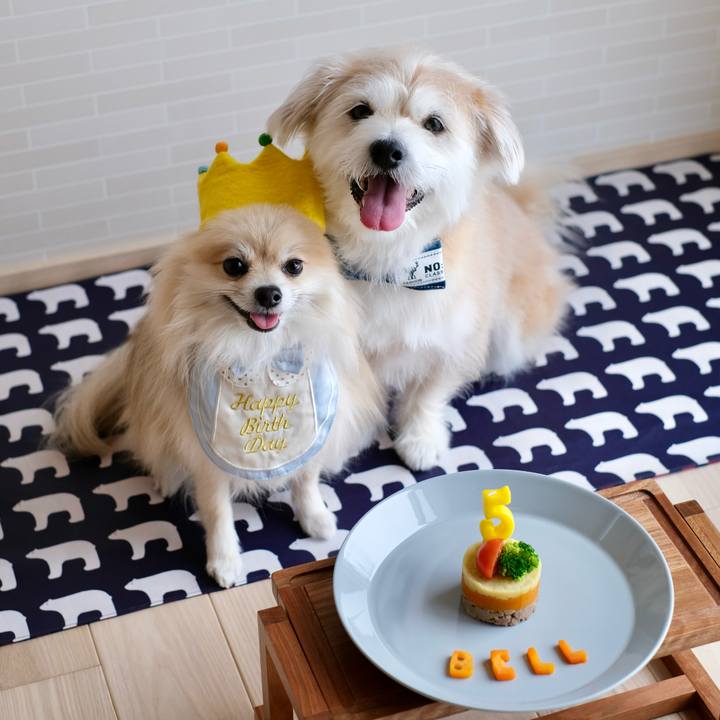 5581471d 819c 4758 b556 99b1ae1439e1 1768086784492