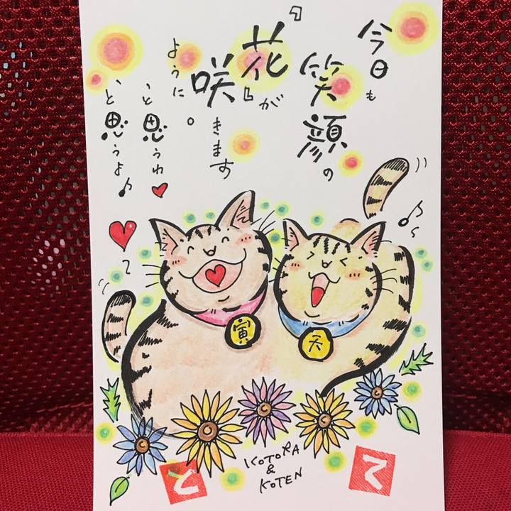 5581aff2 0955 4e47 bb81 e8f770092f1b 1571518694819