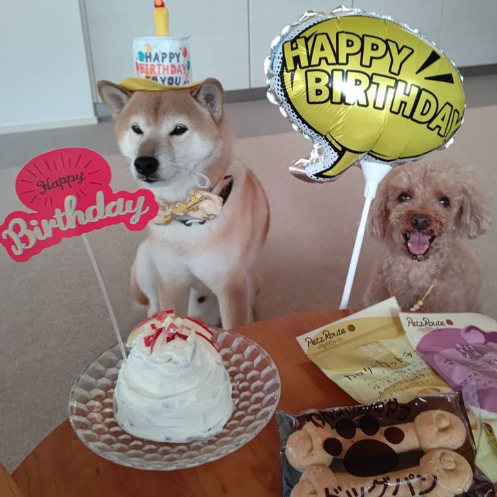 5581d6f1 9f02 4742 bb9e e661d4761e55 1599095062524