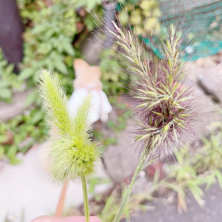 5581dae6 fc73 46f3 88bb cccfbed2bf45 1696424023954