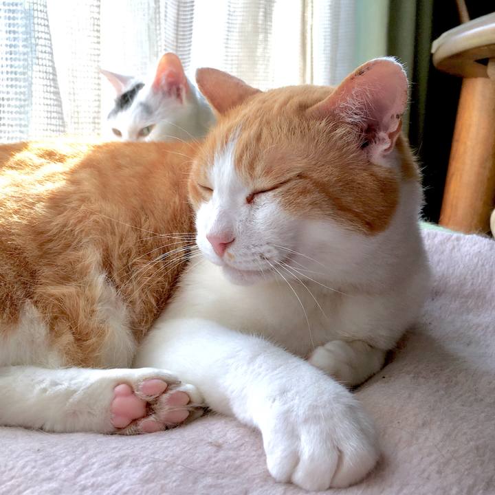 5581f82d a583 4618 9a49 dc127a84e8bf 1561778536703