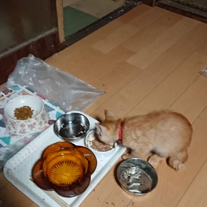 558209c6 4ff6 41b9 a91a d3008deec91c 1630787243763