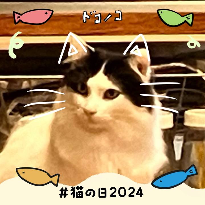 558213b6 fa8a 4bc5 bb17 8bc56b3a4fc3 1708610025826
