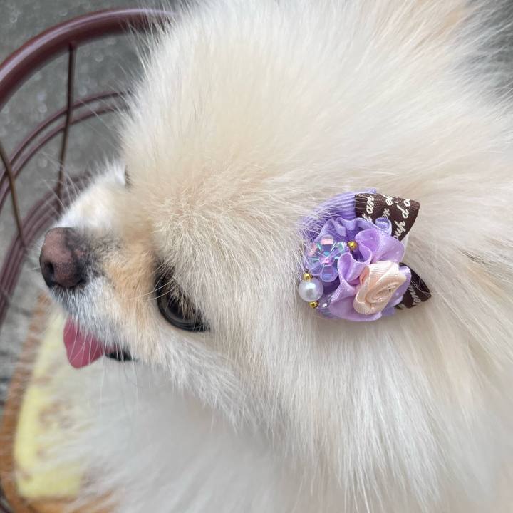 558223cc 0f17 4805 bceb ad9368644e2c 1719229893250