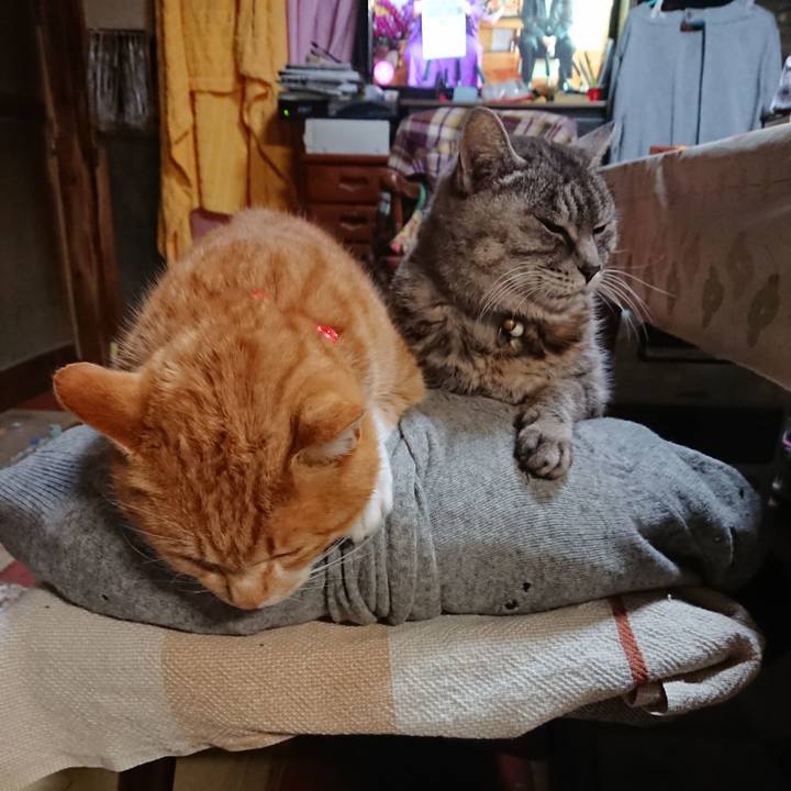 55822648 4c3a 458e 9748 279f436f1e1f 1577223718408