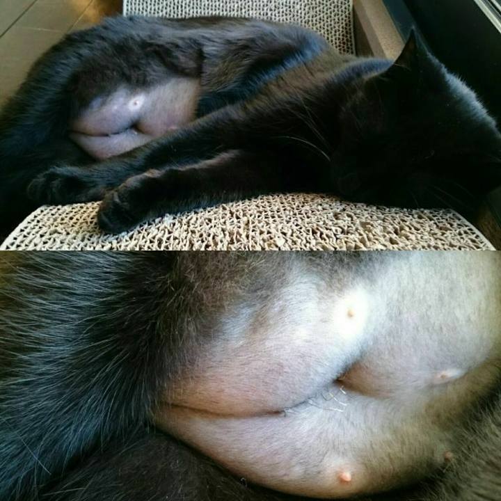 55822a69 88c3 40ae 9f41 efa5837d1c4e 1550586561675