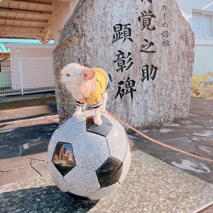 55823544 874c 41f3 8142 8fd0feff0075 1673333250842