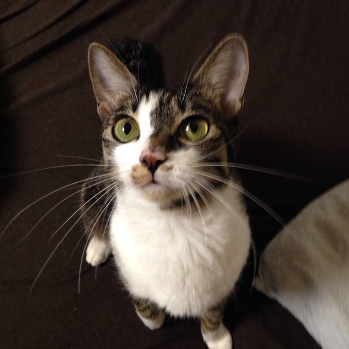 55827d1e 60f3 4782 8568 76918b933254 1510196497423