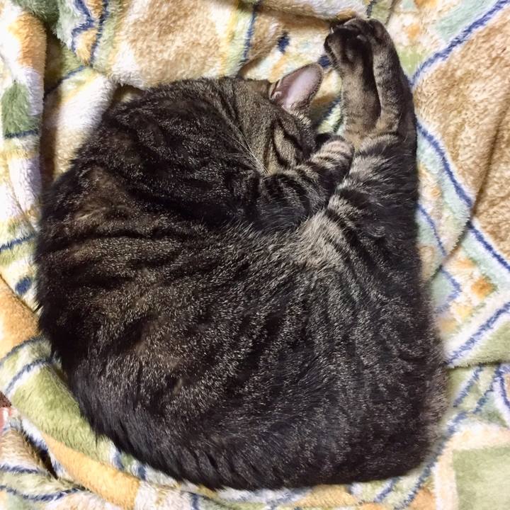 55829bfa 4b1b 4b22 b4da e04366a69efe 1512023471805