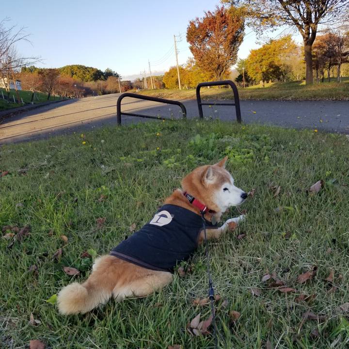 5582c6ea 6b58 4415 a55a d7e6e6c537e2 1731048790559