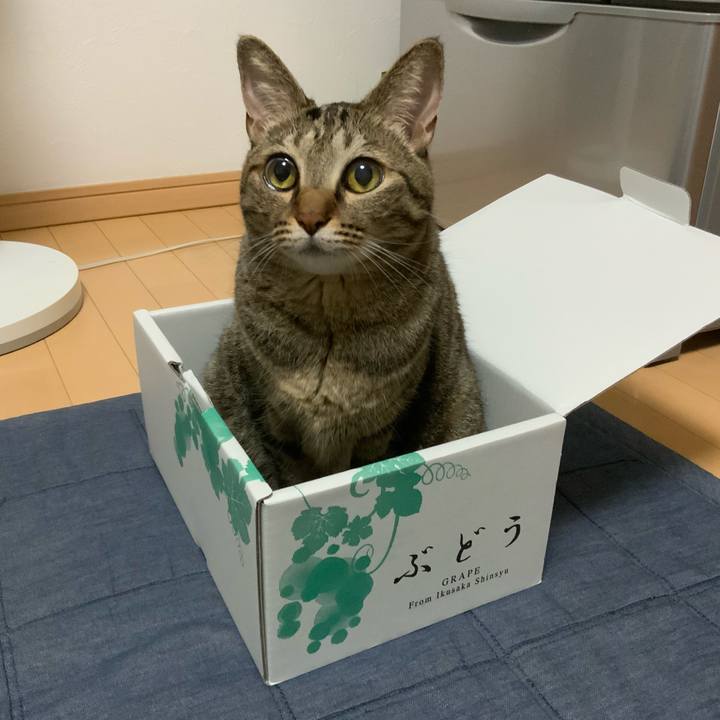 55830196 c7d3 421c 9e65 e3636af9aac7 1600096212532