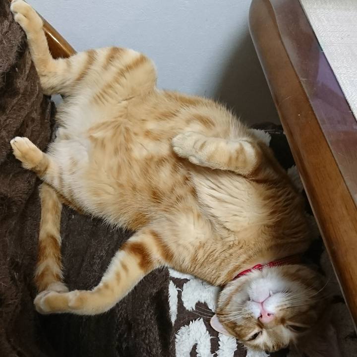 558302e6 4d3d 481f 829f 437ecfffcc9c 1515943219378