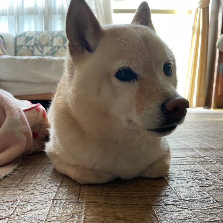 55835a9e dbde 4334 93d8 3195fbb7a0be 1713567811282