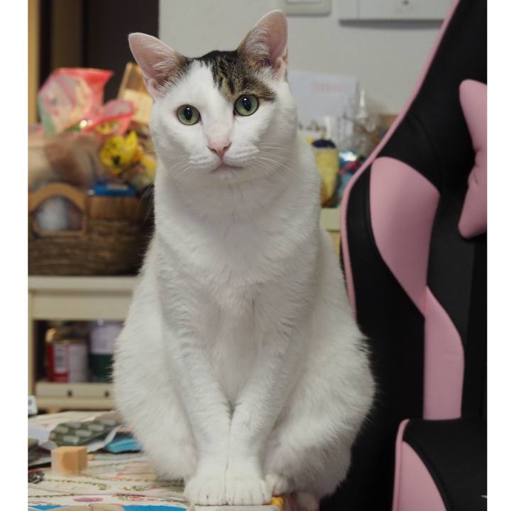 5583c5cb b0d1 4ce9 a834 5f44d98cd6df 1628482710915