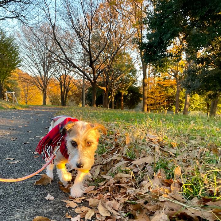 5583f7bc 3825 4c13 afac e4b196acd1df 1638518651191