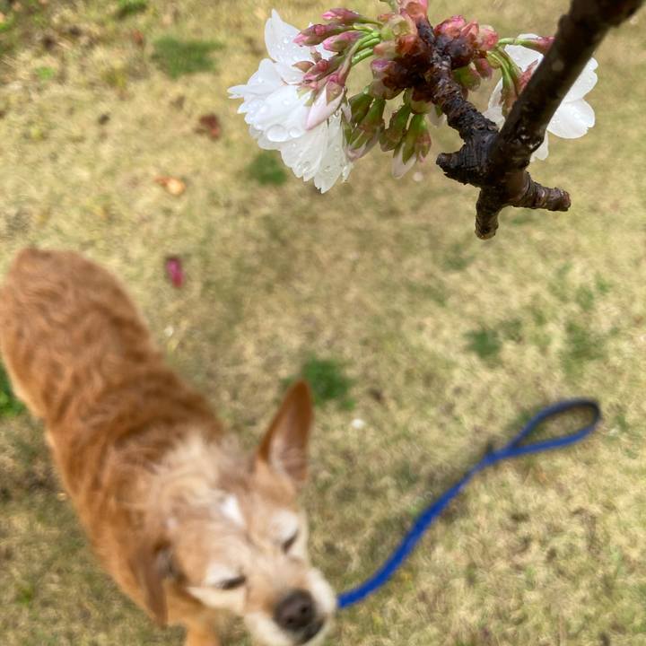 55843705 3270 47d3 b4ec ebfe1a9f136b 1711962552430