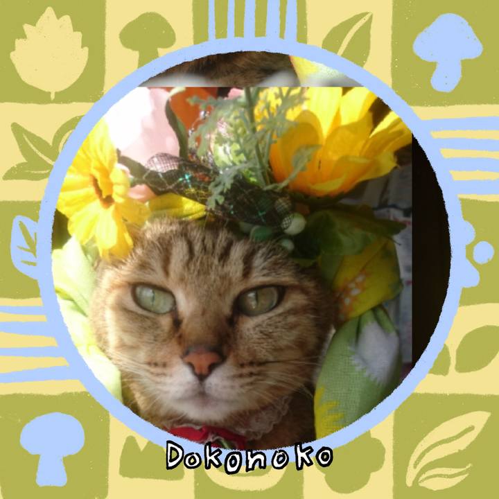 55846418 4b78 4418 93e4 01a3d54960c2 1761615206048