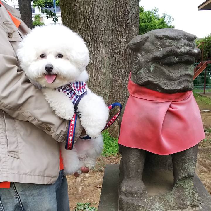 55846784 7a68 4bc6 9f27 b8fa2a347fd7 1525424010325