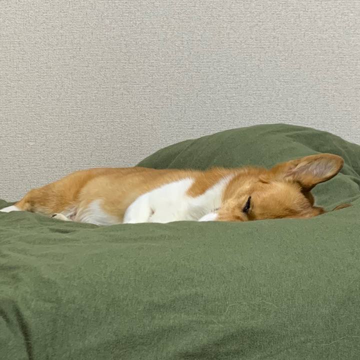 5584855b 615f 4582 ac00 0129a221fb90 1603700572905