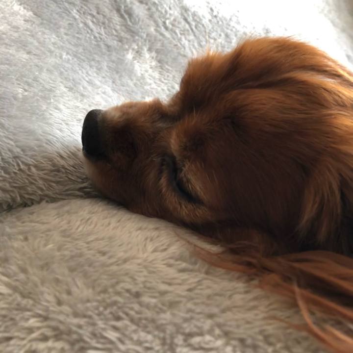 5584b07f 474d 4a94 a241 d440c30720cc 1647296763777