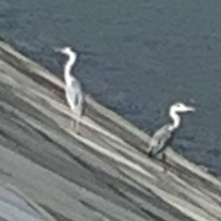 5584bdda fca7 4c90 aa83 a17373cdf42b 1572127068925